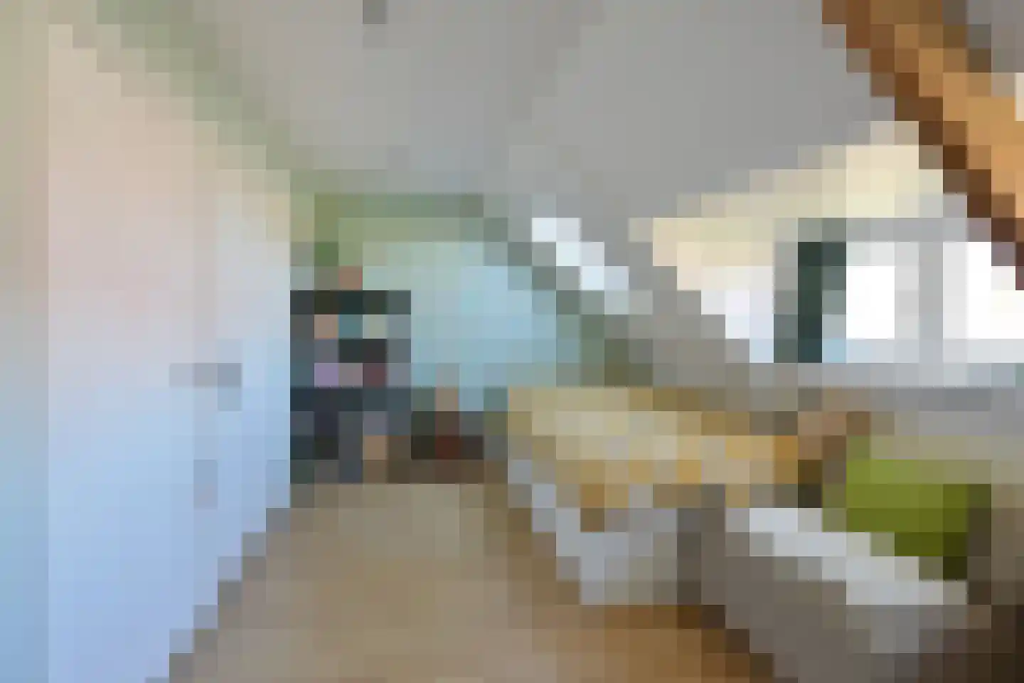 Frans Halslaan 18 Naarden thumbnail 20
