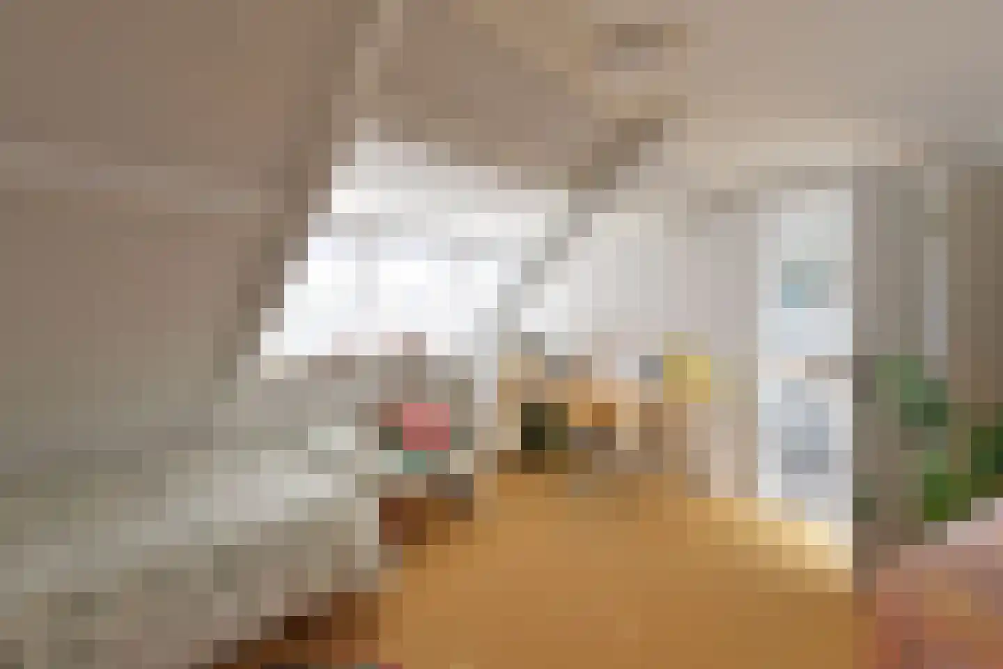 Frans Halslaan 18 Naarden thumbnail 23