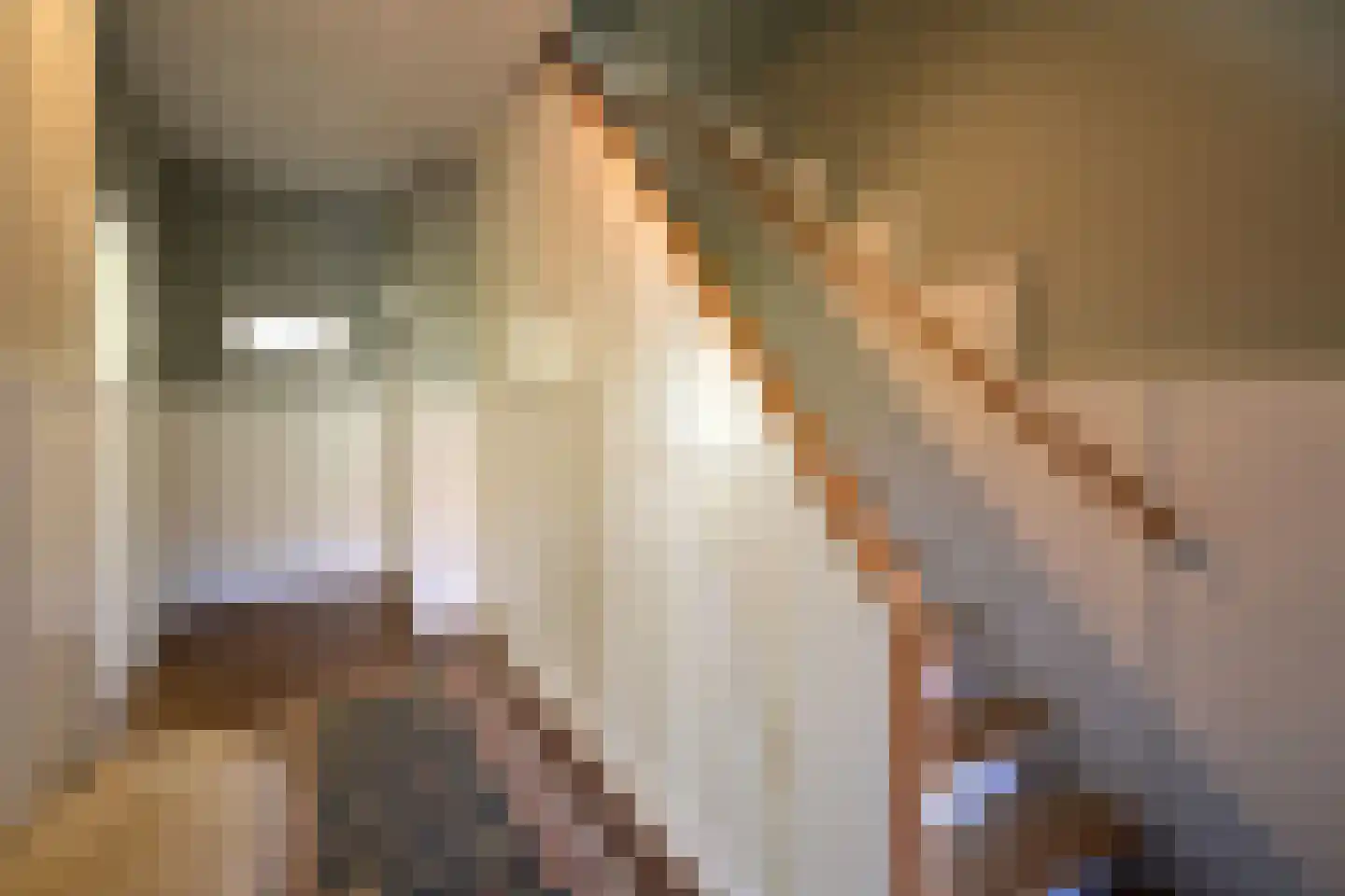 Frans Halslaan 18 Naarden thumbnail 5