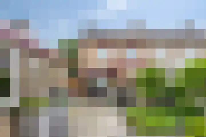 Frans Halslaan 18 Roosendaal thumbnail 23