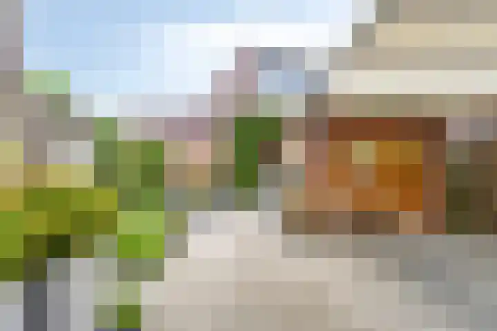 Frans Halslaan 18 Roosendaal thumbnail 26