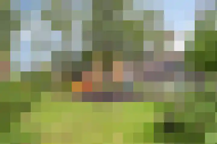 Frans Halslaan 18 Roosendaal thumbnail 31