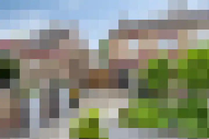 Frans Halslaan 18 Roosendaal thumbnail 4