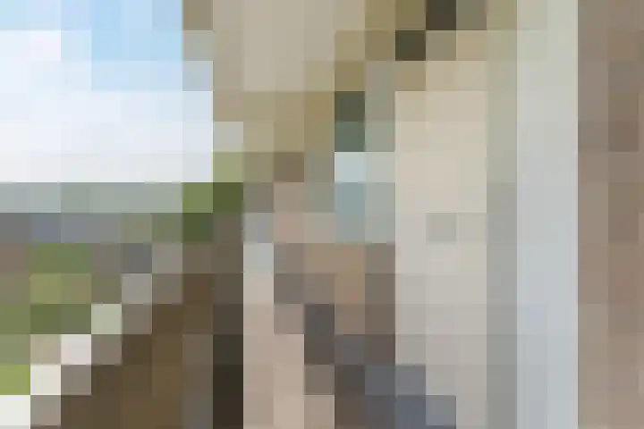 Frans Halslaan 185 Oegstgeest thumbnail 10