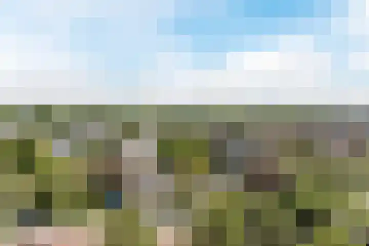 Frans Halslaan 185 Oegstgeest thumbnail 11