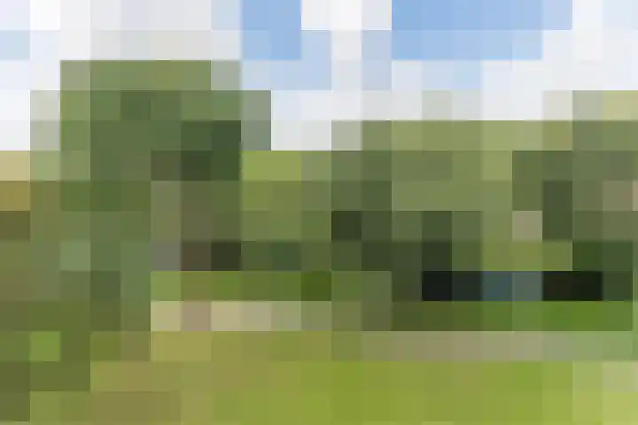 Frans Halslaan 185 Oegstgeest thumbnail 34