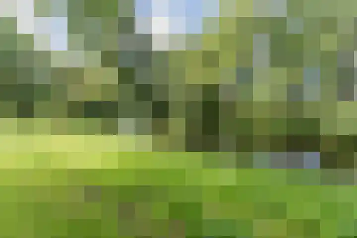 Frans Halslaan 185 Oegstgeest thumbnail 37