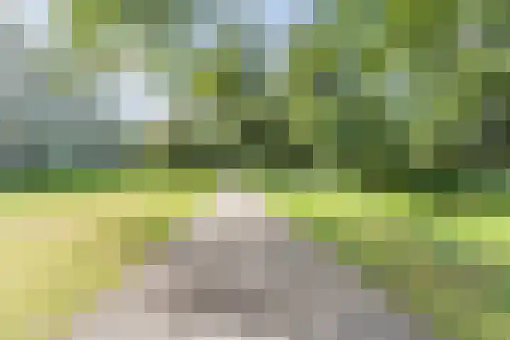 Frans Halslaan 185 Oegstgeest thumbnail 4