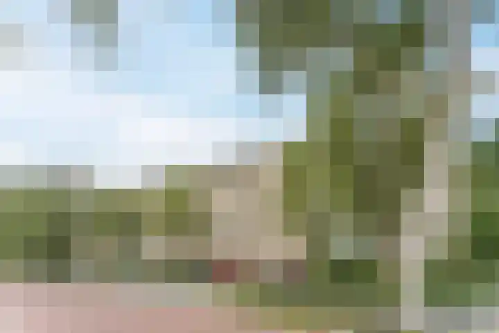 Frans Halslaan 185 Oegstgeest thumbnail 44