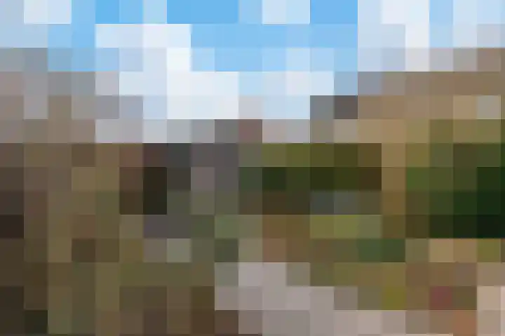 Frans Halslaan 19 Apeldoorn thumbnail 18