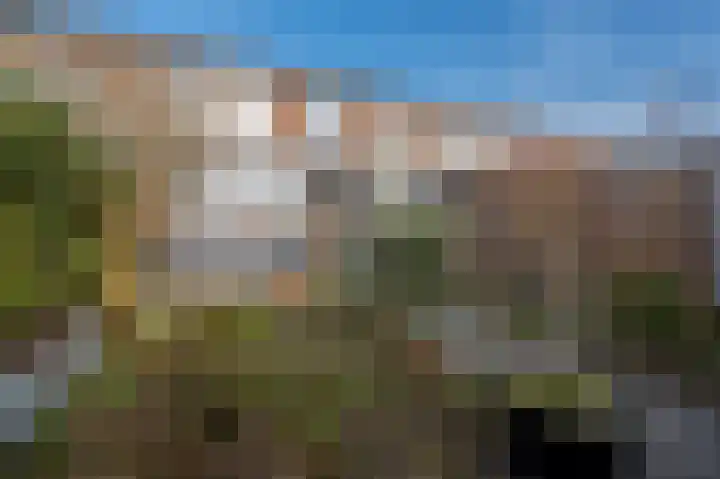 Frans Halslaan 19 Apeldoorn thumbnail 20