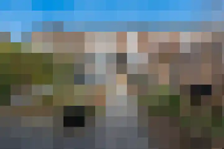Frans Halslaan 19 Apeldoorn thumbnail 21