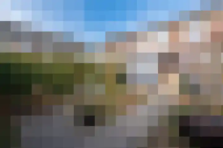 Frans Halslaan 19 Apeldoorn thumbnail 23