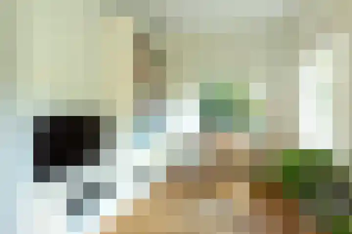 Frans Halslaan 19 Hilversum thumbnail 10