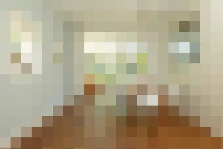 Frans Halslaan 19 Hilversum thumbnail 12