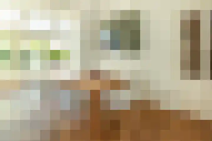 Frans Halslaan 19 Hilversum thumbnail 13