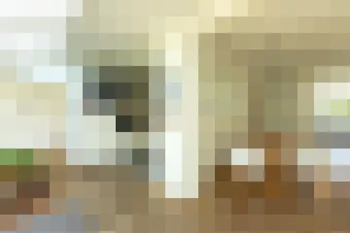 Frans Halslaan 19 Hilversum thumbnail 16