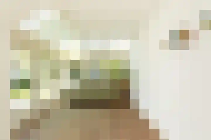 Frans Halslaan 19 Hilversum thumbnail 17