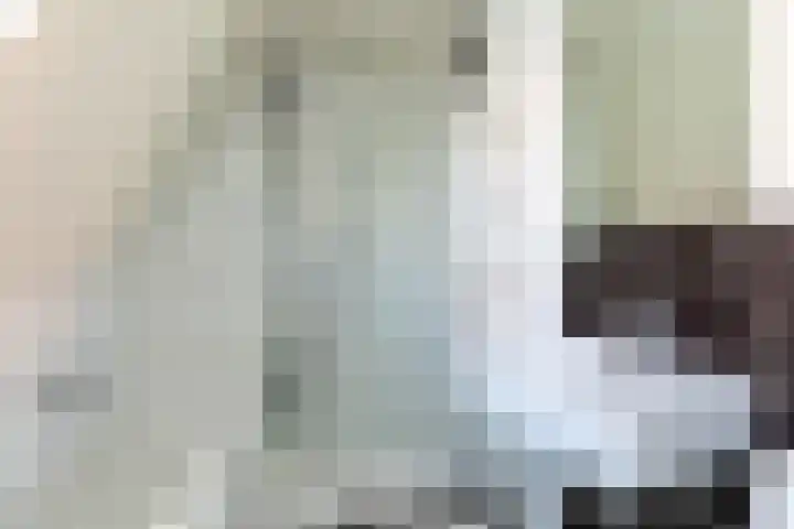 Frans Halslaan 19 Hilversum thumbnail 22