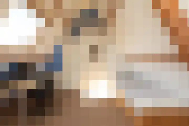 Frans Halslaan 19 Hilversum thumbnail 28