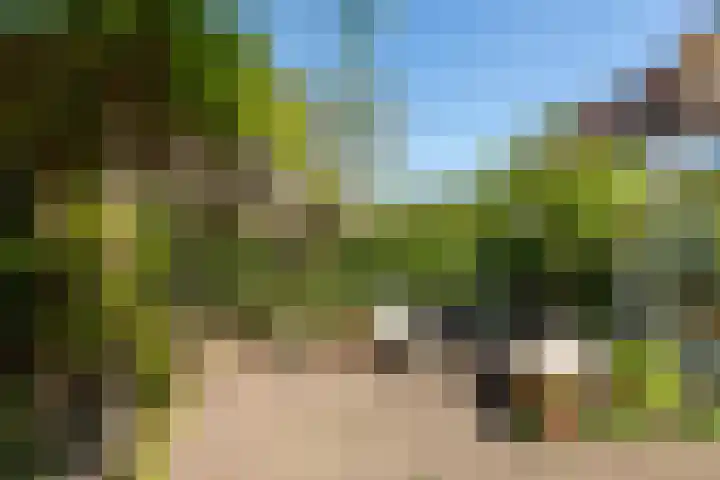 Frans Halslaan 19 Hilversum thumbnail 29