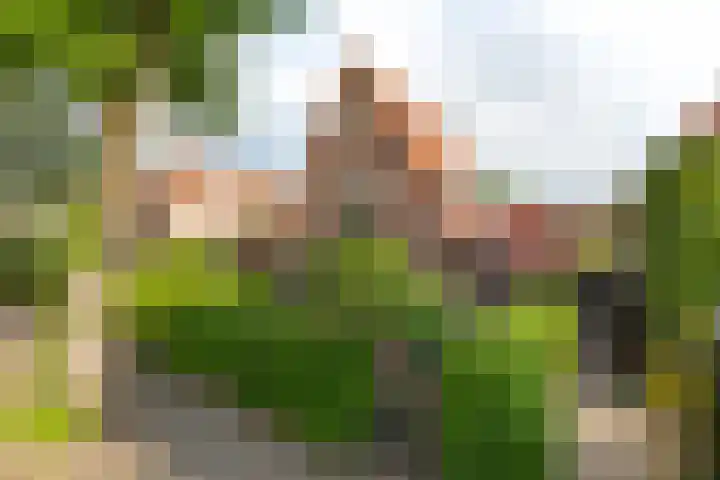Frans Halslaan 19 Hilversum thumbnail 30