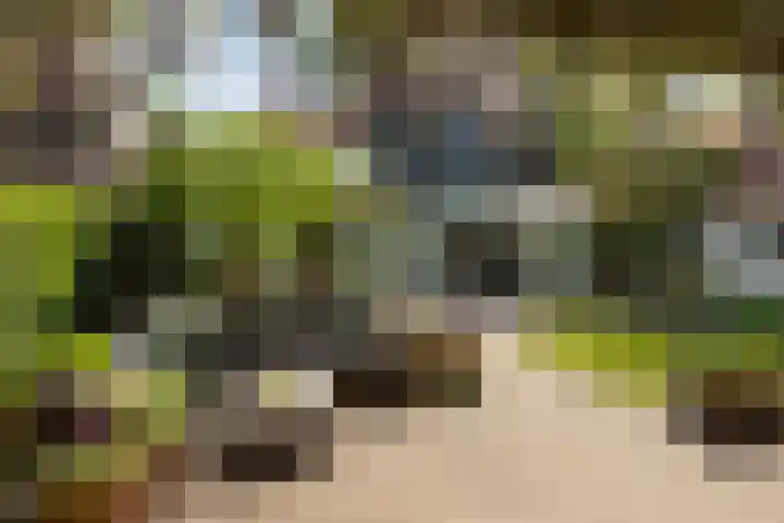 Frans Halslaan 19 Hilversum thumbnail 31