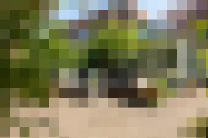 Frans Halslaan 19 Hilversum thumbnail 32