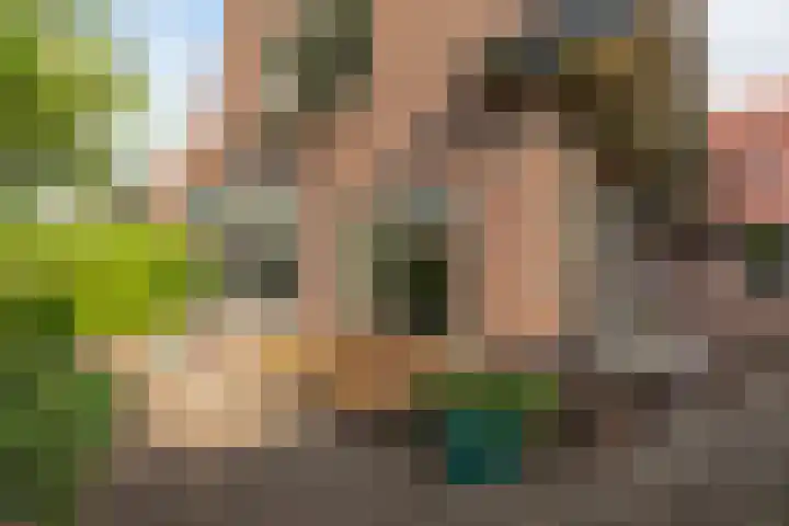 Frans Halslaan 19 Hilversum thumbnail 33