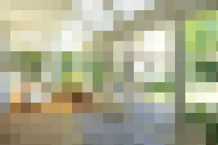 Frans Halslaan 19 Hilversum thumbnail 5