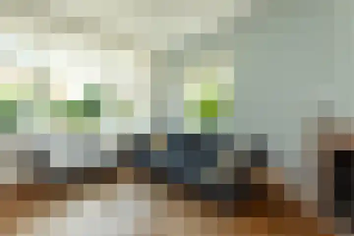 Frans Halslaan 19 Hilversum thumbnail 8