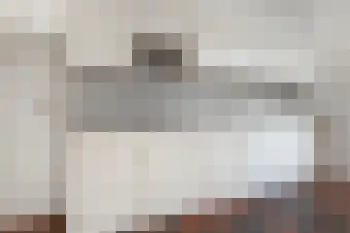 Frans Halslaan 19 Scherpenzeel thumbnail 10