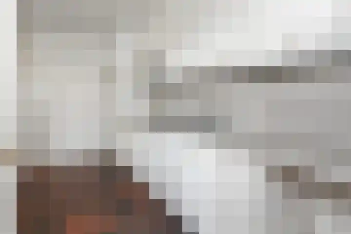 Frans Halslaan 19 Scherpenzeel thumbnail 11