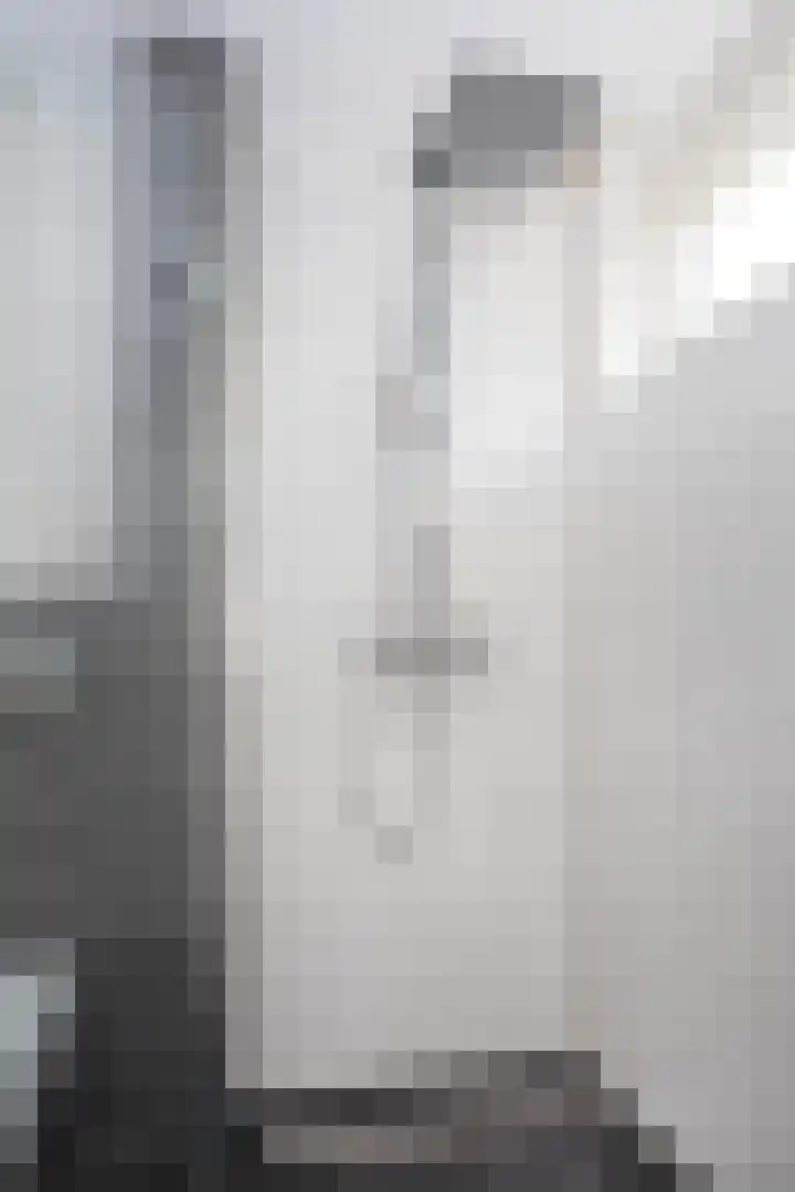 Frans Halslaan 19 Scherpenzeel thumbnail 16