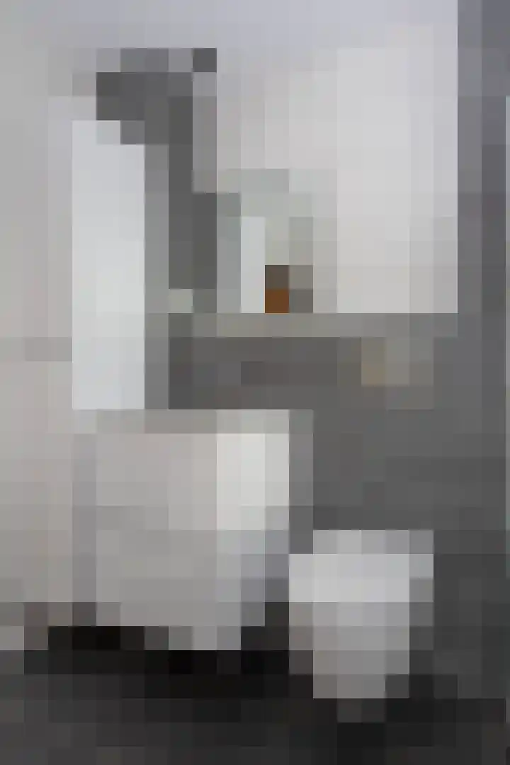 Frans Halslaan 19 Scherpenzeel thumbnail 17