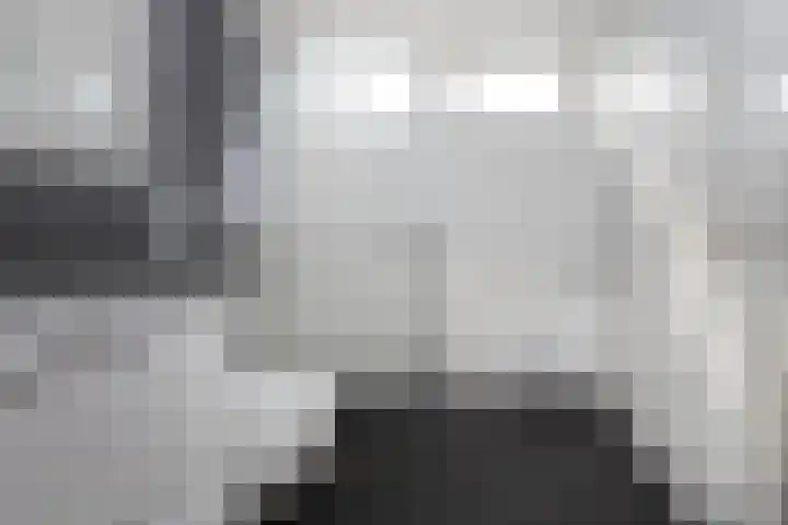 Frans Halslaan 19 Scherpenzeel thumbnail 18