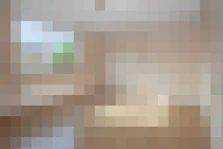 Frans Halslaan 19 Scherpenzeel thumbnail 19