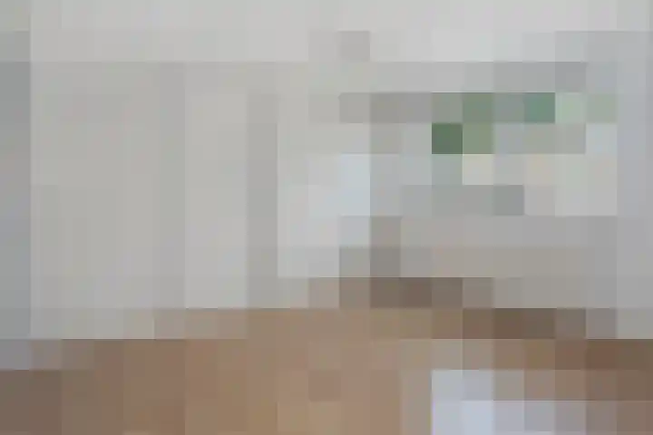 Frans Halslaan 19 Scherpenzeel thumbnail 21