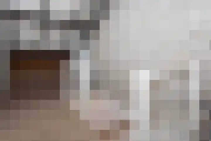 Frans Halslaan 19 Scherpenzeel thumbnail 24