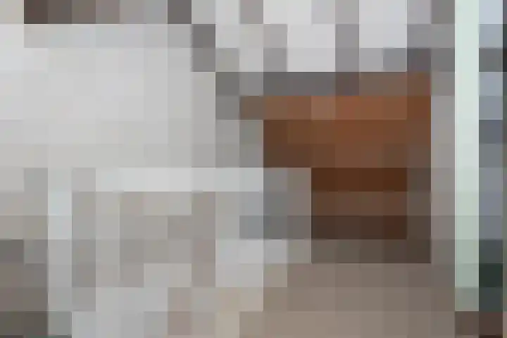 Frans Halslaan 19 Scherpenzeel thumbnail 25