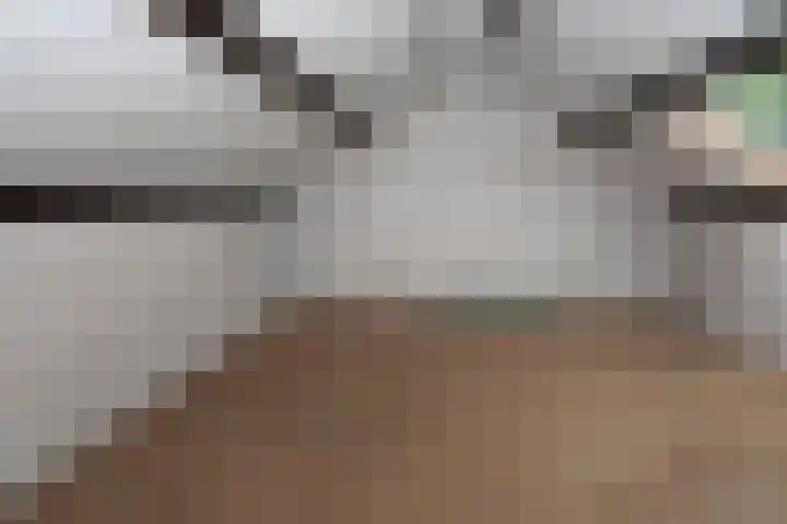 Frans Halslaan 19 Scherpenzeel thumbnail 26