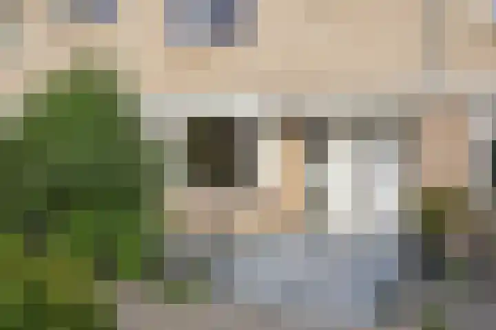Frans Halslaan 19 Scherpenzeel thumbnail 28