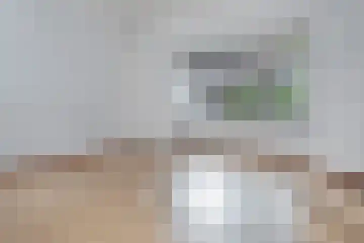 Frans Halslaan 19 Scherpenzeel foto 3