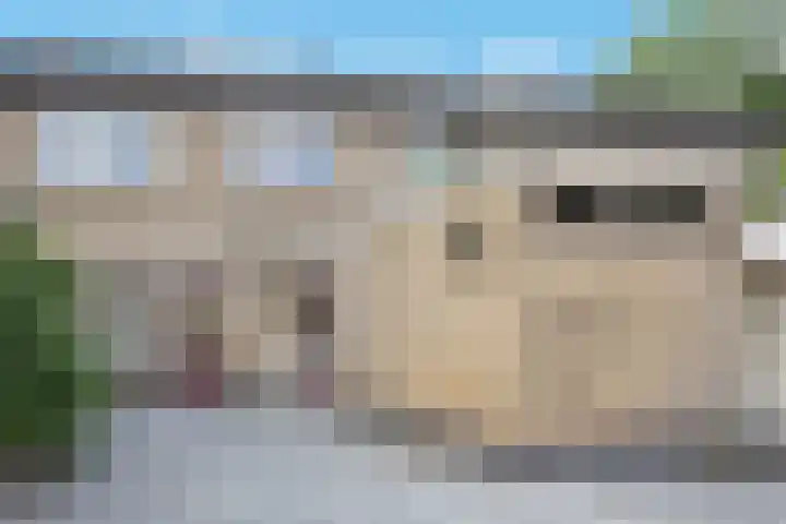 Frans Halslaan 19 Scherpenzeel thumbnail 31