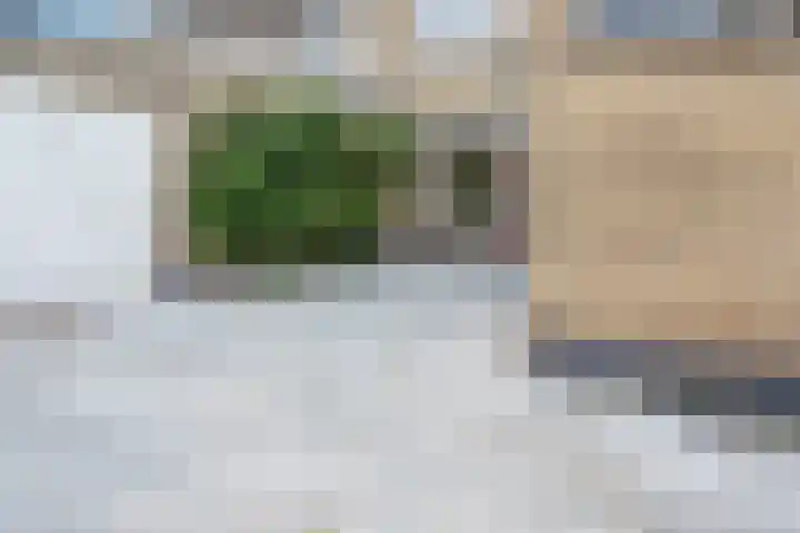 Frans Halslaan 19 Scherpenzeel thumbnail 33