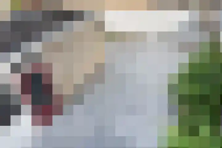 Frans Halslaan 19 Scherpenzeel thumbnail 34