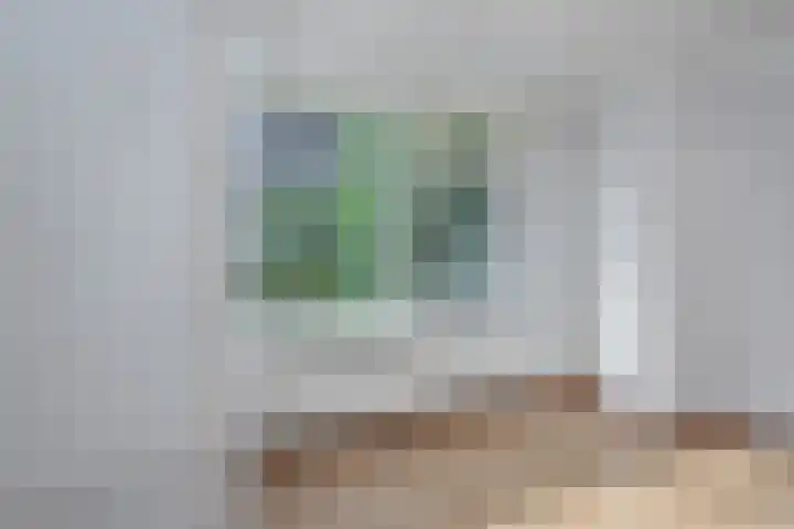 Frans Halslaan 19 Scherpenzeel thumbnail 4