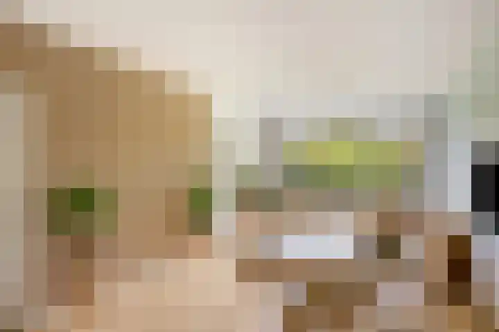 Frans Halslaan 191 Oegstgeest thumbnail 10