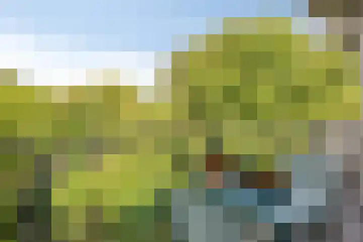 Frans Halslaan 191 Oegstgeest thumbnail 25