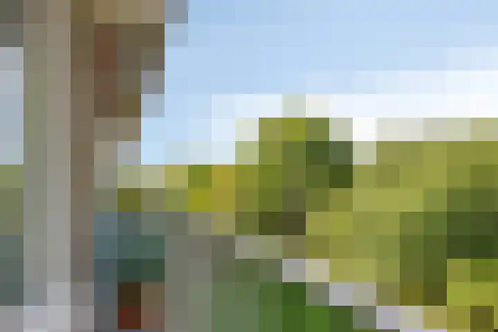 Frans Halslaan 191 Oegstgeest thumbnail 26